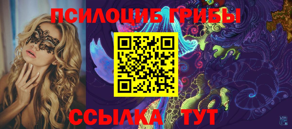 Карачаевск  Галлюциногенные грибы мухоморы  Вход с VPN 
