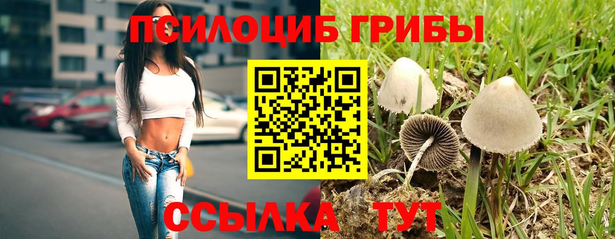 Галлюциногенные грибы мицелий Карачаевск